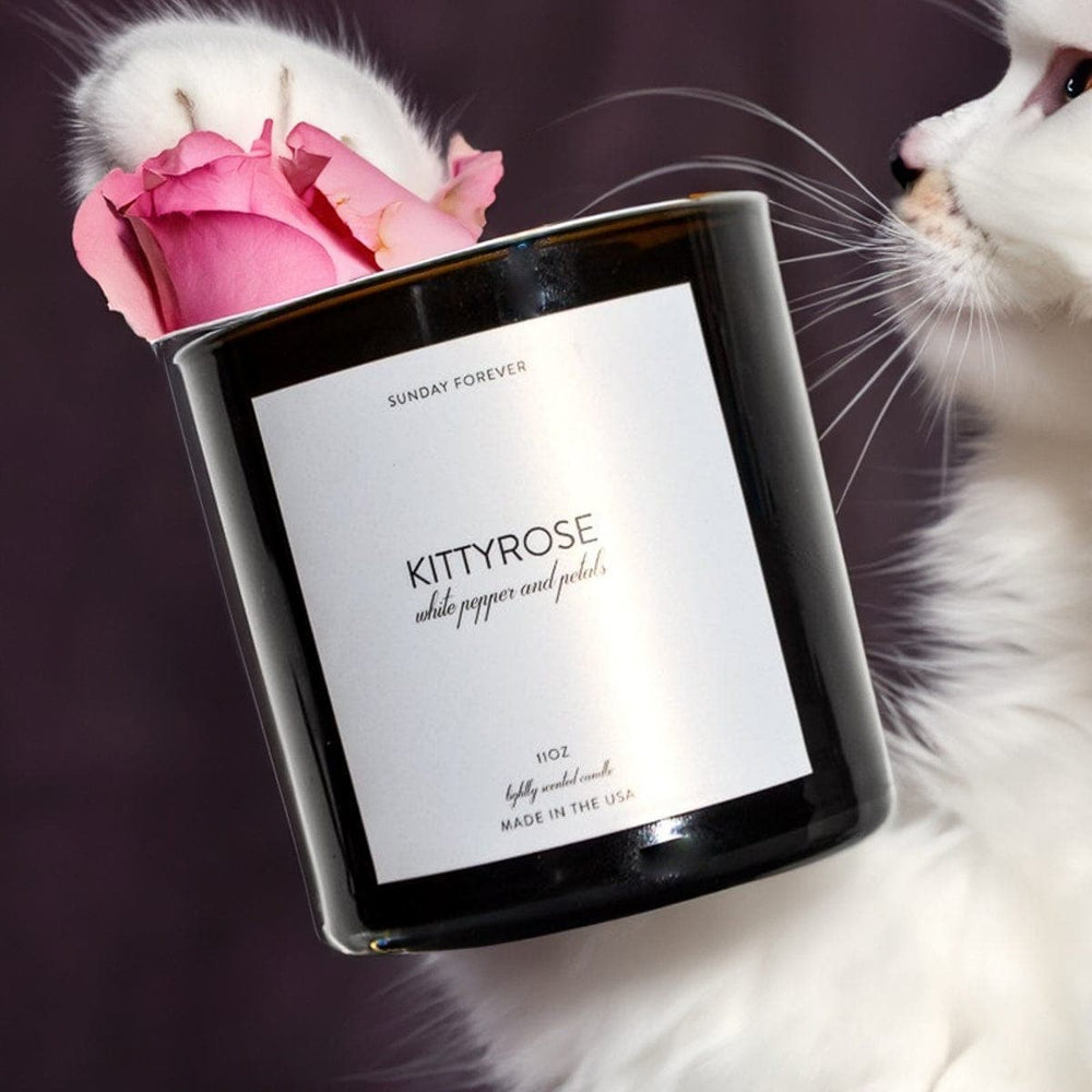 
                      
                        Sunday Forever Candles Kittyrose Luxury Candle with White Pepper and RoseKittyrose Luxury Candle | White Pepper & Rose Petals| Sunday ForeverSunday Forever NYC
                      
                    